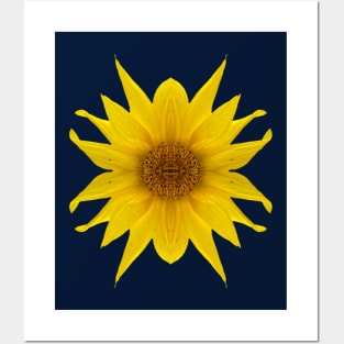 Spiky Yellow Flower Posters and Art